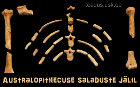 Australopithecus-saladus-eksitus