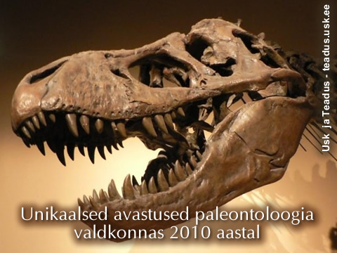 Paleontoloogia.avastused.2010_b